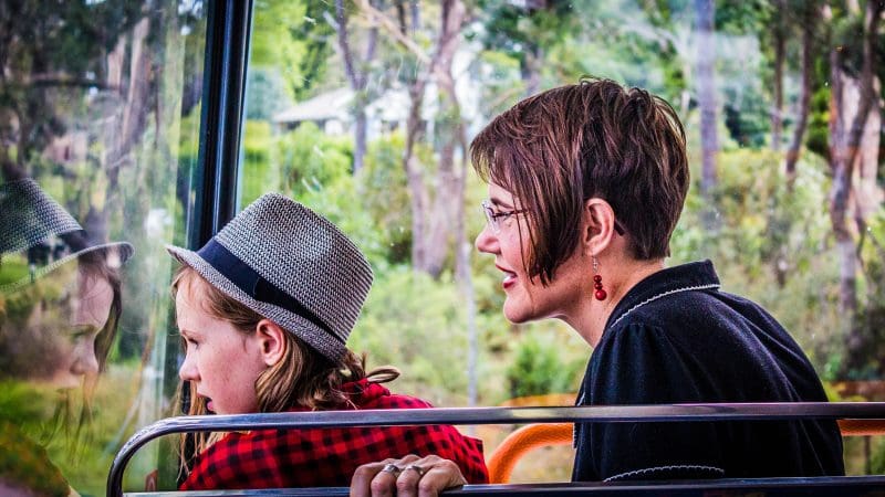 Two passengers on a Boomerang Pass One Hour Sightseeing Tour bus: one smiling, the other admiring scenic trees through the window.