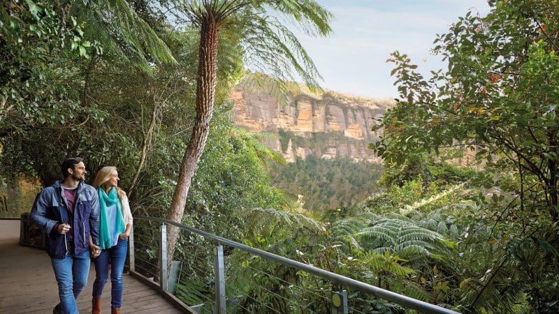 A couple walks along Kookaburra Pass boardwalk, surrounded by lush green forest and towering cliffs beneath a vibrant blue sky.