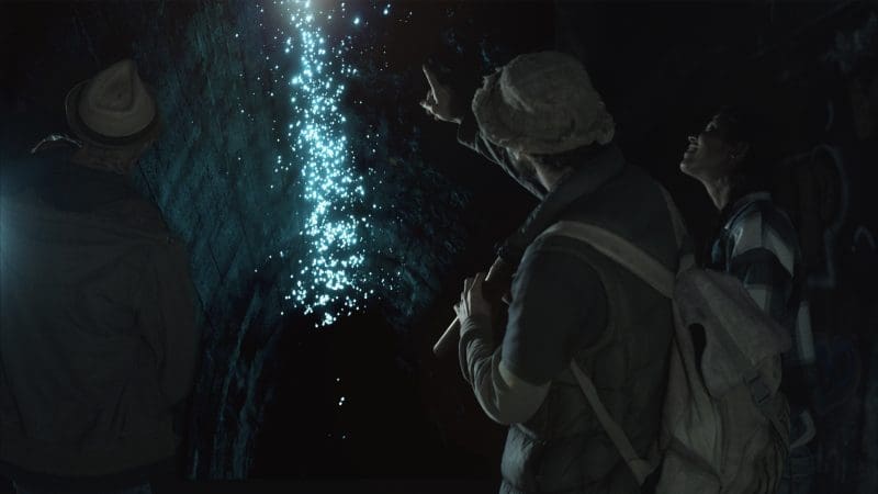 Three visitors in a dark cave marvel at the glowing blue lights above during the Hinterland Magic Glow Worm Experience tour.