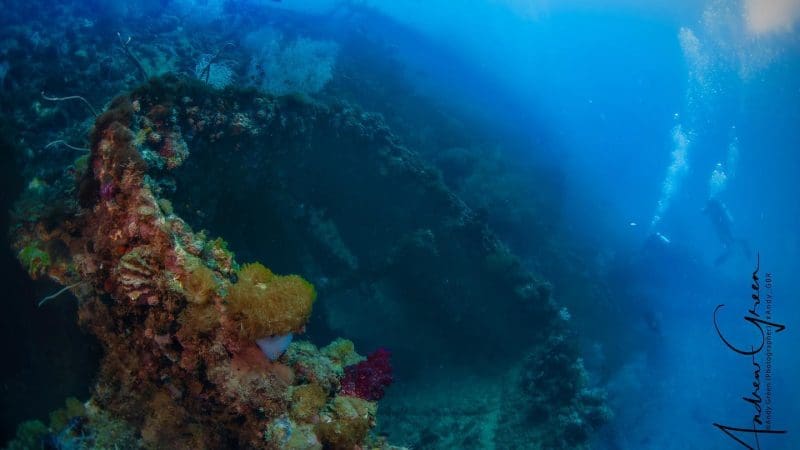 Certified diver investigates vibrant coral-encrusted Yongala shipwreck, bathed in sunlit blue water on a top-rated diving holiday.
