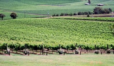 66bad83e61be0_1283_6848070512fd434488839bca82fe52e9yarra1