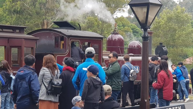 Visitors gather beside a historic steam train at Menzies Creek station, surrounded by the scenic Dandenong Ranges forest.