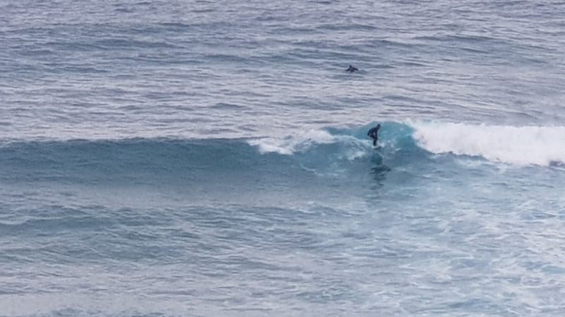 Surfer catching a small wave on the sea during a Learn to Surf Tour, with another participant watching from deeper water.