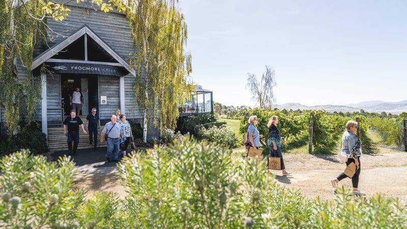 Guests leave a charming rustic building beside lush vineyards during a Coal River Valley Wine & Gin Safaris Private Day Tour experience.