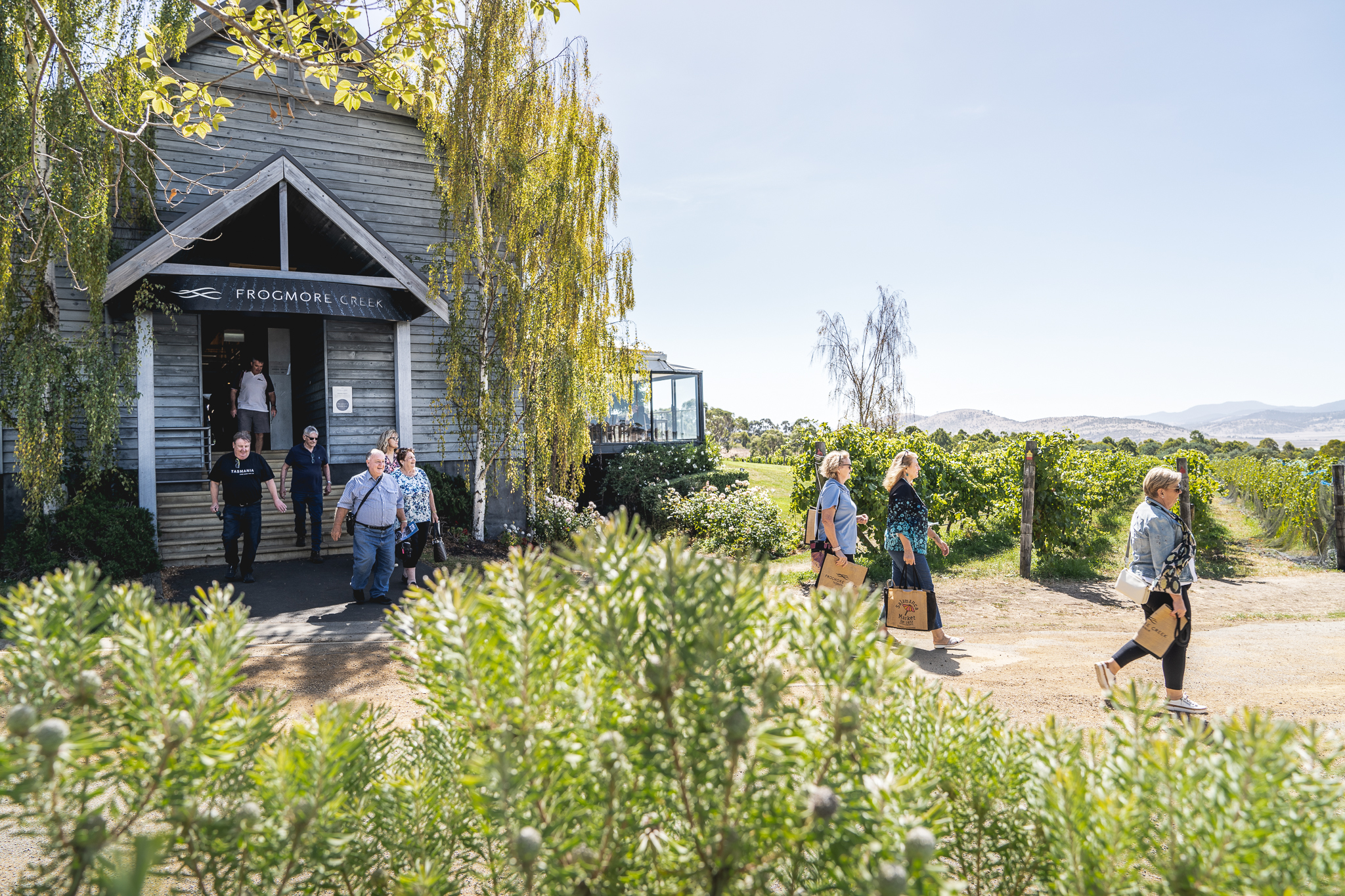 Visitors emerge from a charming rustic building near lush vineyards on a Coal River Valley Wine and Gin Safari, enjoying scenic views.