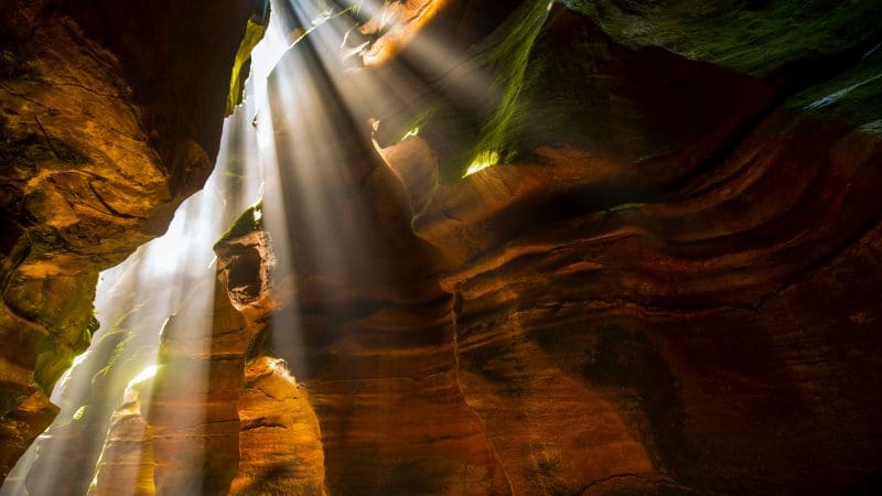 Golden sunbeams shine through Twister and Rocky Creek Canyons, highlighting vibrant red rock walls and lush green moss accents.