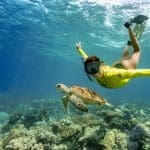 Snorkeller in yellow shirt explores vibrant coral reef with sea turtle during Great Barrier Reef Eco Adventure tour.