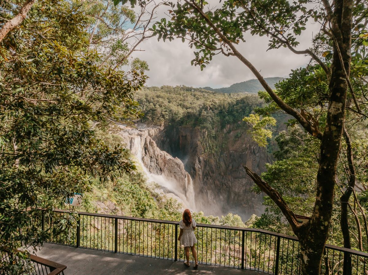 Person on platform overlooking powerful waterfall cascading into expansive wetlands amid lush, green hills; breathtaking scenic view.