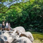 Guided day tour group stands on rocky riverbank in vibrant rainforest at Cape Tribulation, Daintree, and Mossman Gorge, Queensland.