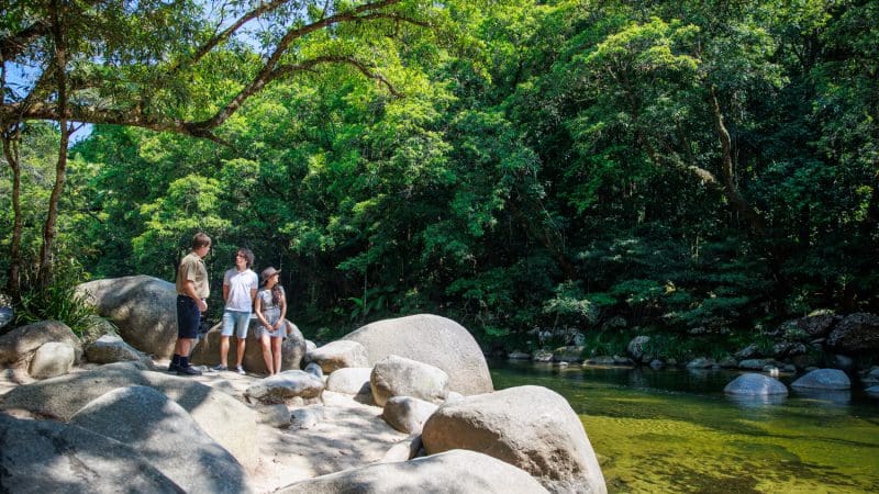 Guided day tour group stands on rocky riverbank in vibrant rainforest at Cape Tribulation, Daintree, and Mossman Gorge, Queensland.