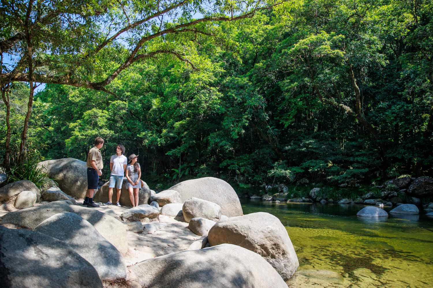 Guided day tour group stands on rocky riverbank in vibrant rainforest at Cape Tribulation, Daintree, and Mossman Gorge, Queensland.