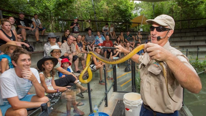 Zookeeper at Hartleys Crocodile Adventures Half Day presents a giant snake to an engaged outdoor audience, wildlife experience tour.