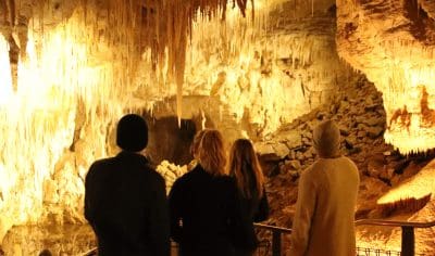 Four visitors on a metal platform gaze at radiant glow-worms and luminous cave formations in New Zealand’s Waitomo Glowworm Caves.