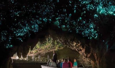 Visitors in a boat explore New Zealand’s Waitomo Glow-worm Caves, mesmerised by glowing blue-green bioluminescent lights overhead.