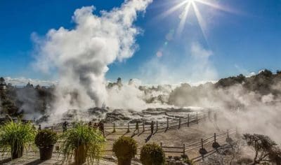 Rotorua geothermal vents emit steam behind protective fencing under a clear blue sky and bright sun, with lush plants in front.