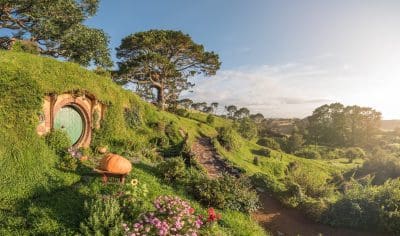 Picturesque round Hobbiton door nestled in a lush, flower-filled hillside with vibrant greenery beneath a clear, sunny sky.