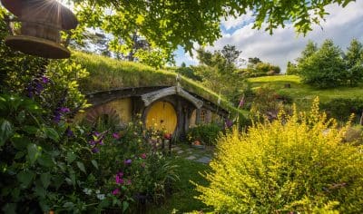 Discover the iconic round-doored hobbit house nestled in lush Hobbiton scenery—ultimate film set tour for fans and travellers alike.