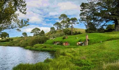 Scenic grassy hillside featuring iconic round hobbit houses and lush trees by a tranquil lake, reminiscent of Hobbiton near Rotorua.