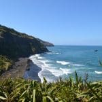 Experience a breathtaking rugged coastline on a Private Eco Tour, featuring dramatic black sand beaches, lush green cliffs, and blue ocean.