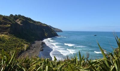 Dramatic coastal cliffs and striking black sand beach with crashing waves, lush greenery, and clear blue skies on a private eco tour.