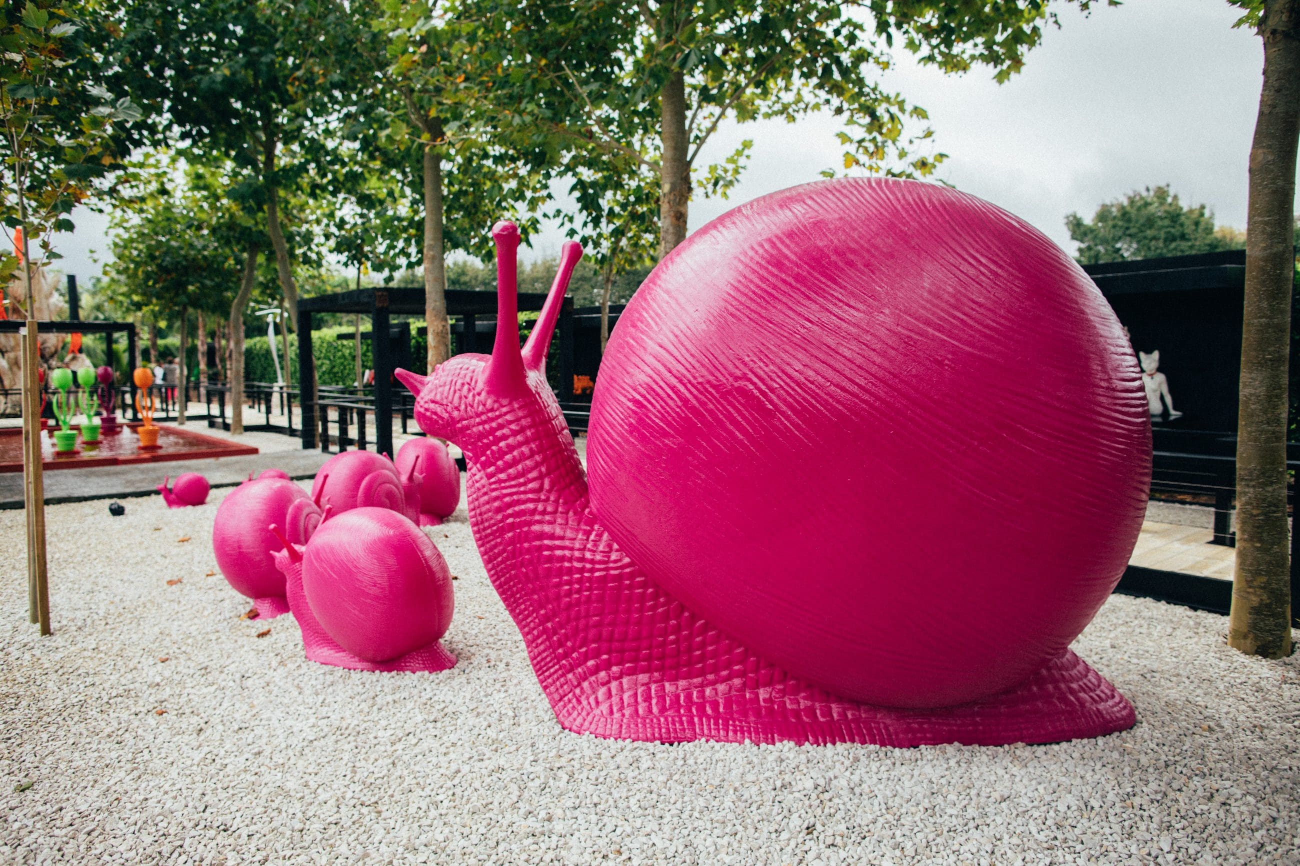 Striking large pink snail sculptures and smaller snails adorn Matakana park, enhancing scenic white gravel paths amid lush green trees.