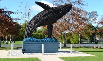 Discover Matakana’s iconic large wooden whale sculpture leaping from a striking blue base amid lush greenery—ideal for art tours.