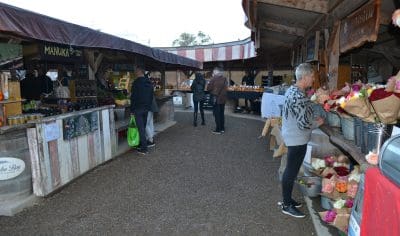 Visitors browse Matakana’s vibrant outdoor market, exploring fresh flowers, artisan produce, and local crafts on rustic wooden stalls.