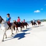 67490534eda94_3961_horse-riding-pakiri-beach-1-1