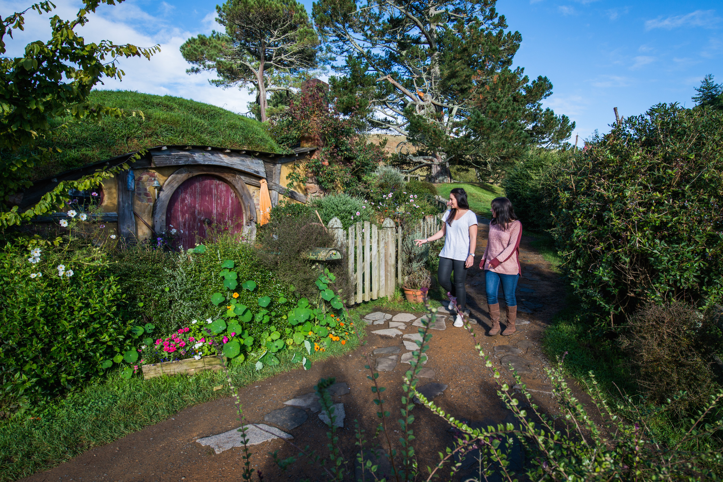 67495aae1a311_3961_hobbiton-the-number-one-tourist-attraction-for-international-visitors-3