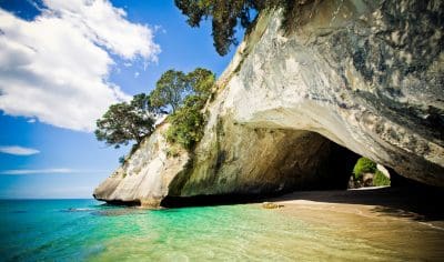 Scenic coastal cave beneath lush trees, sparkling turquoise water, and sandy beach—top highlight for Coromandel tours near Cathedral Cove.