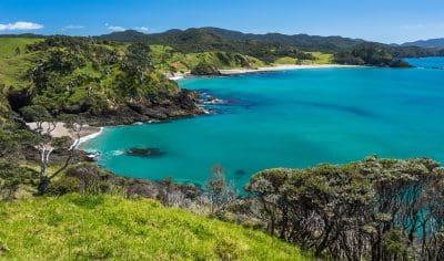 Discover the stunning turquoise bay, dramatic rocky cliffs, and pristine sandy beaches on a Bay of Islands tour from Auckland.