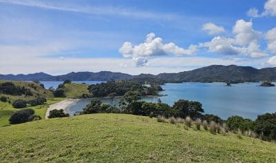 Scenic grassy hill with panoramic views of vibrant blue Bay of Islands, lush green isles, majestic mountains, and sunny skies.