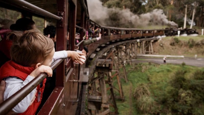 Excited child leans from Puffing Billy Steam Train as it crosses a wooden bridge, curving through lush green forest in Melbourne, Australia.