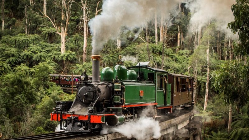 Puffing Billy Steam Train Tour travels over a historic wooden bridge in a vibrant green forest, with smoke streaming from its chimney.