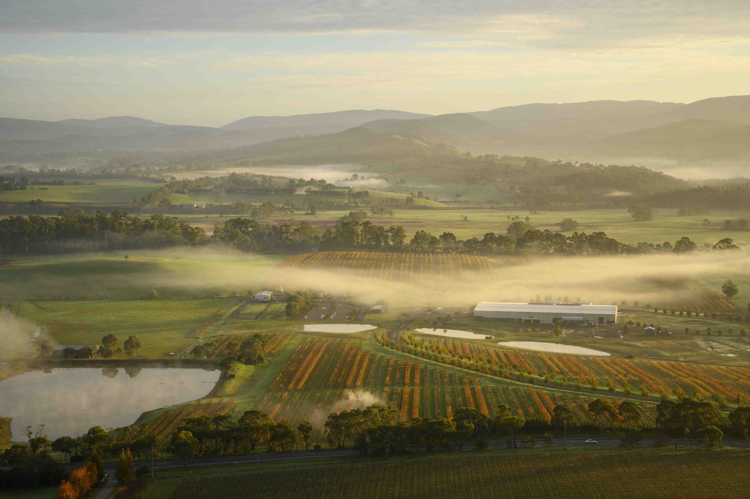 Stunning aerial view of Yarra Valley’s misty vineyards, ideal for hot air balloon adventures with breakfast and city transfer.