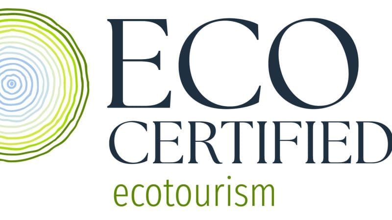 Eco Certified logo featuring tree rings and a tick, inspired by O'Reilly's Lamington National Park, Gold Coast ecotourism badge.