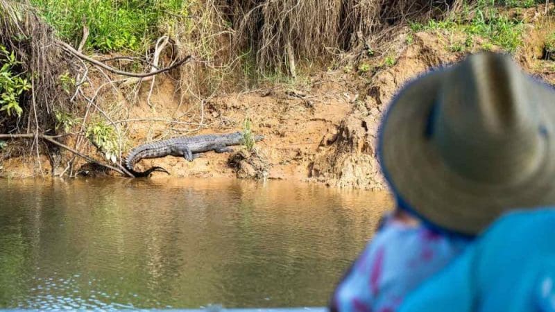 A traveller in a wide-brimmed hat observes a large crocodile basking on the riverbank during a private Daintree Cape Tribulation tour.