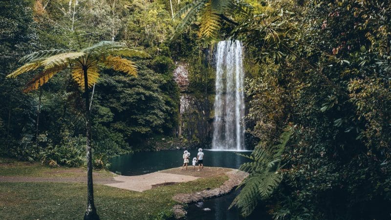 Three travellers at a scenic waterfall surrounded by lush rainforest, capturing highlights of a 14-day Sydney to Cairns tour.
