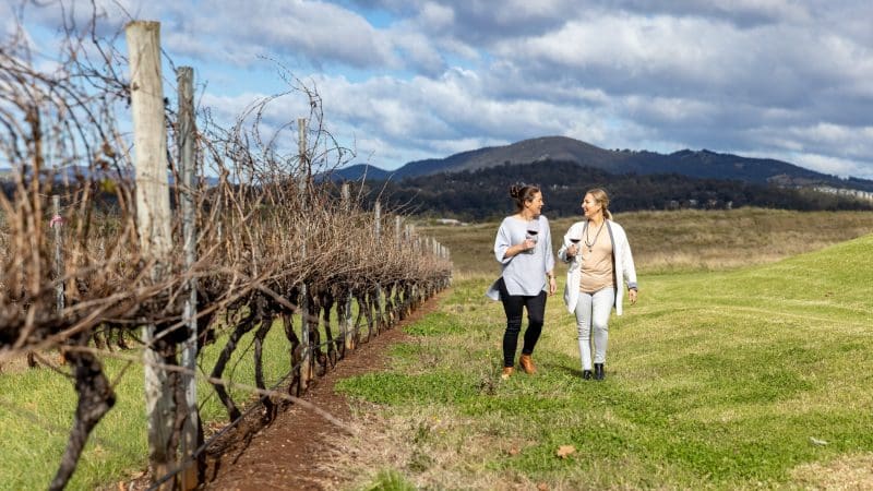 Two women enjoy wine tasting among lush vineyard rows during a 16-Day Best of East Coast Australia Comfort Tour, scenic views in background.