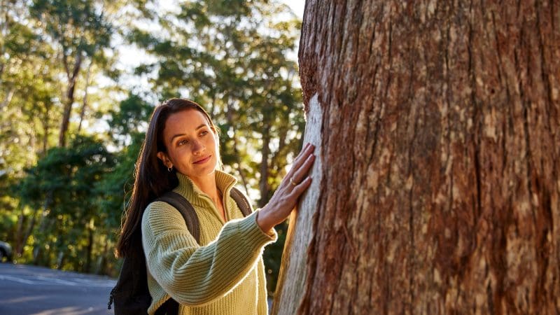 A woman in a green jumper touches a tree trunk in a sunlit forest during her 8 Day Sydney to Brisbane Fraser Island adventure tour.