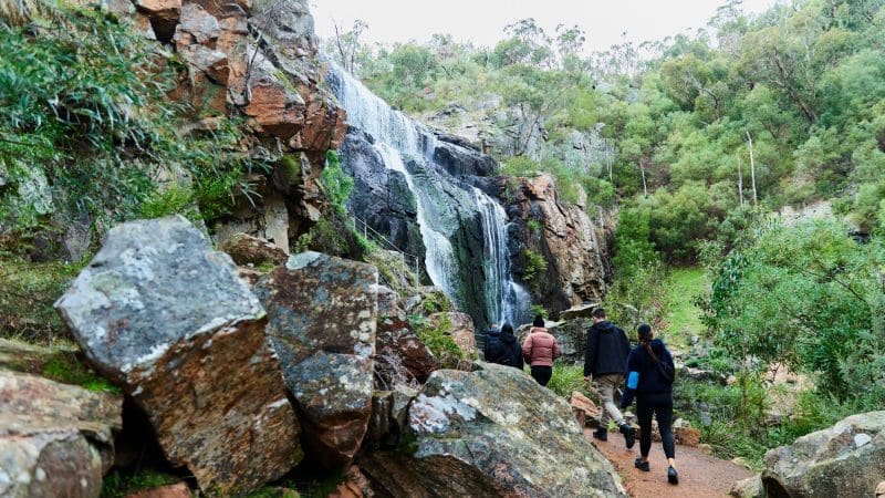 Three hikers trek a rugged Grampians trail towards a scenic waterfall, surrounded by lush greenery on an eco wilderness escape day tour.