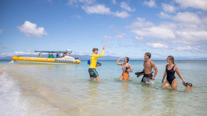 Group of friends in swimsuits high-five and smile in shallow water on a Great Barrier Reef Eco Adventure tour, enjoying the reef.