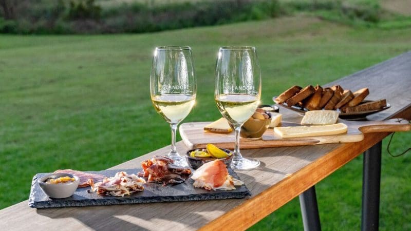 Savour gourmet charcuterie, artisan cheese, and premium wine on a Hunter Valley Wine Tour with sweeping vineyard lawn views.