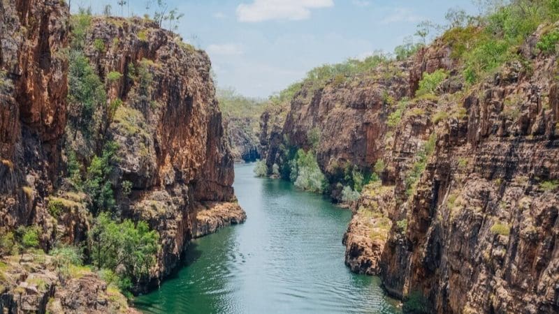 Experience the breathtaking Katherine Gorge as a river winds between dramatic rocky cliffs on a 1 Day Cruise beneath vibrant blue skies.