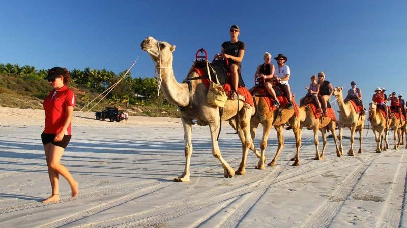 Travellers enjoy a guided camel ride on a sandy Darwin to Broome 4WD tour, with clear blue skies and scenic beach views.