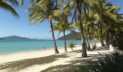 Hamitlon Island The Whitsundays