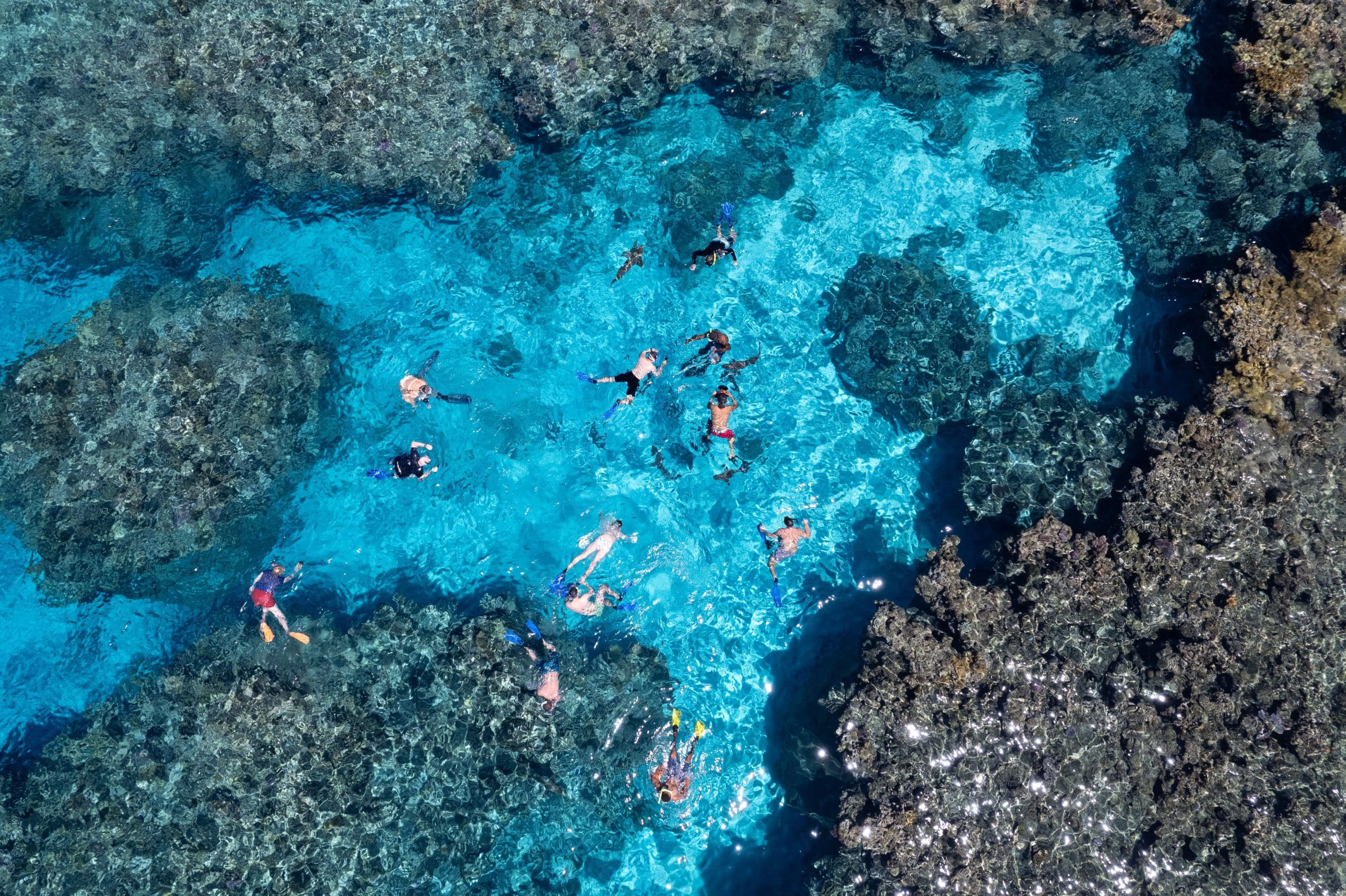 Image of people snorkelling in reefs in Fiji