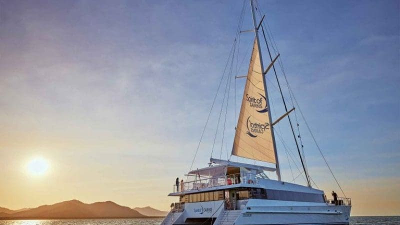 A white catamaran sails at sunset on calm waters during a CSDC Dinner Cruise, with mountains in the background.