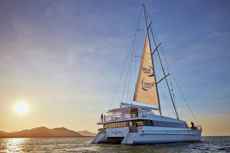A white catamaran sails at sunset on calm waters during a CSDC Dinner Cruise, with mountains in the background.