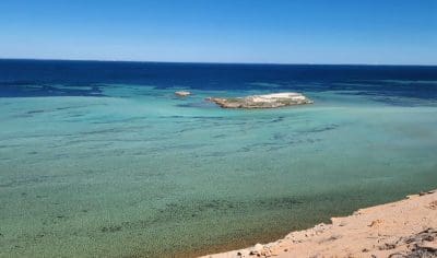 shark bay with its crystal clear water and sea grass beds